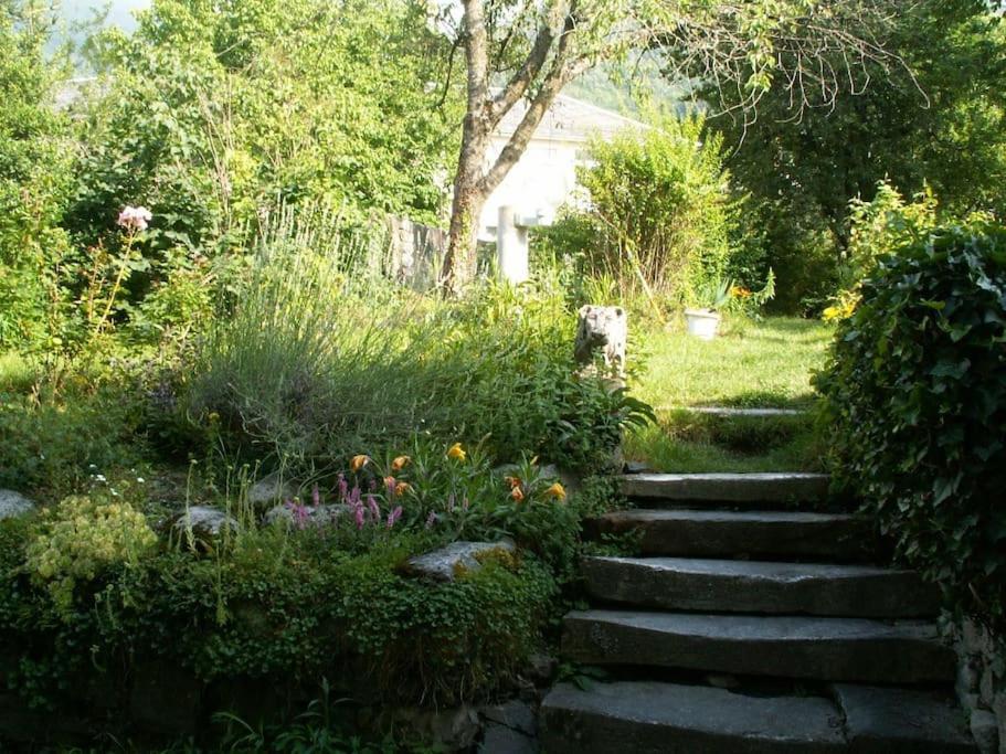 Magnifique Maison De Maitre Du 18E Avec Jardin 吕兹-圣索沃尔 外观 照片