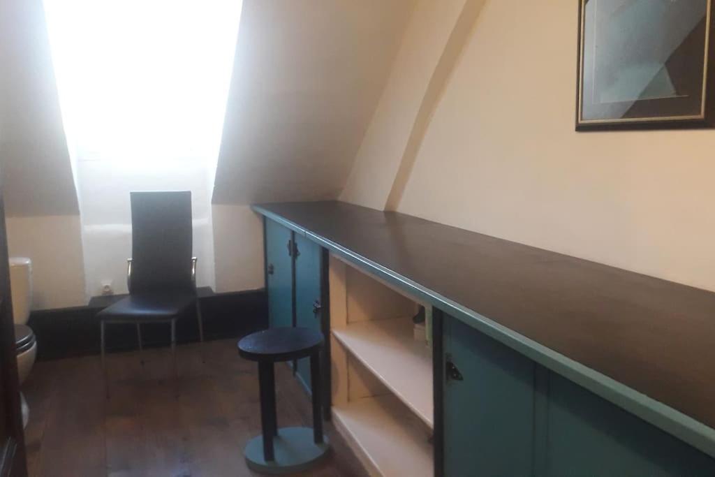 Magnifique Maison De Maitre Du 18E Avec Jardin 吕兹-圣索沃尔 外观 照片