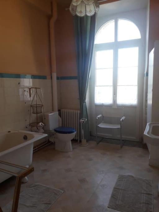Magnifique Maison De Maitre Du 18E Avec Jardin 吕兹-圣索沃尔 外观 照片