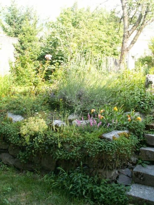 Magnifique Maison De Maitre Du 18E Avec Jardin 吕兹-圣索沃尔 外观 照片