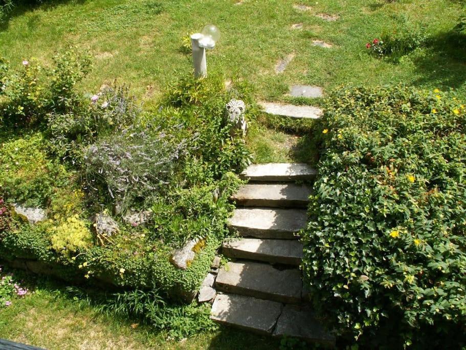 Magnifique Maison De Maitre Du 18E Avec Jardin 吕兹-圣索沃尔 外观 照片