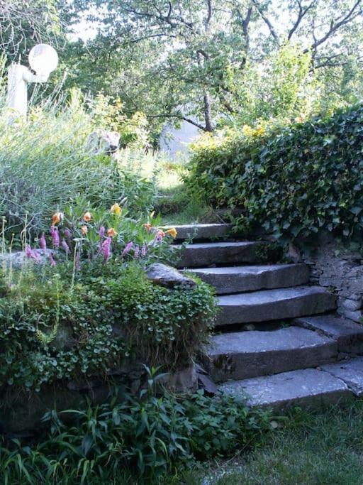 Magnifique Maison De Maitre Du 18E Avec Jardin 吕兹-圣索沃尔 外观 照片