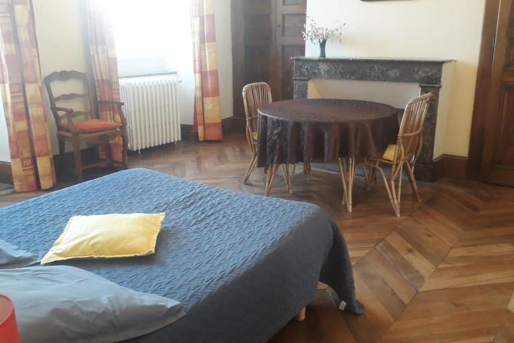 Magnifique Maison De Maitre Du 18E Avec Jardin 吕兹-圣索沃尔 外观 照片
